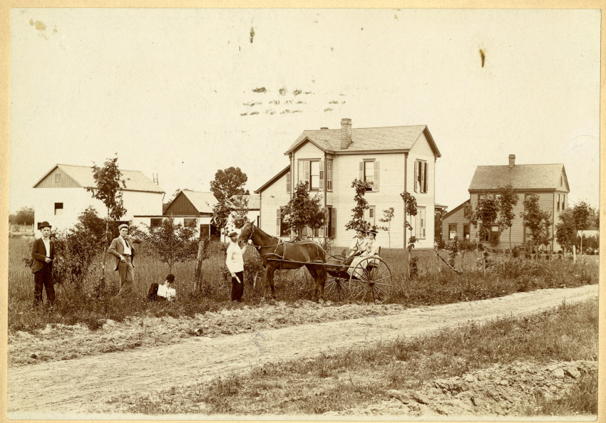 1895 photo, including a man holding a horse and carriage with two young women in it
